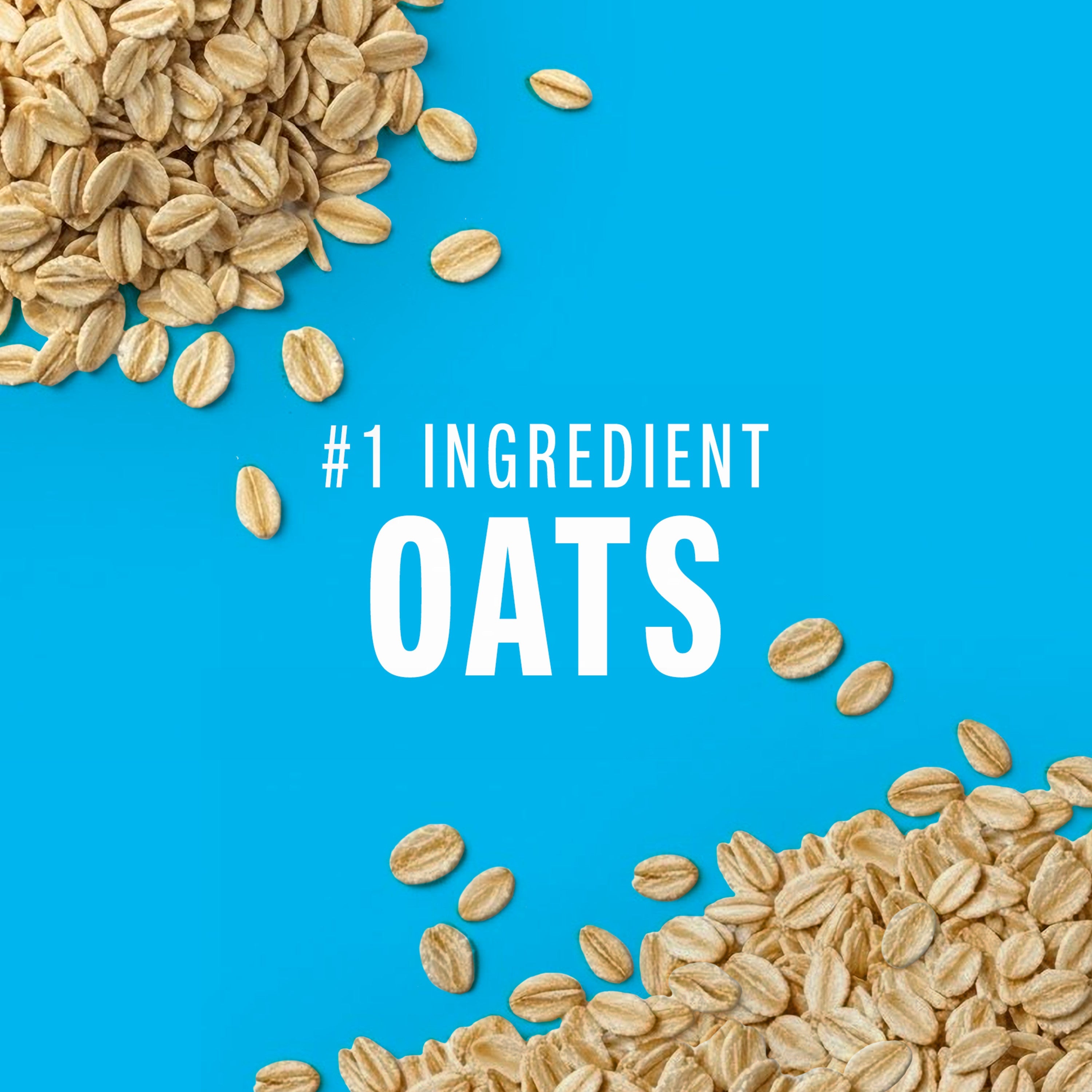 Honey Oat Protein